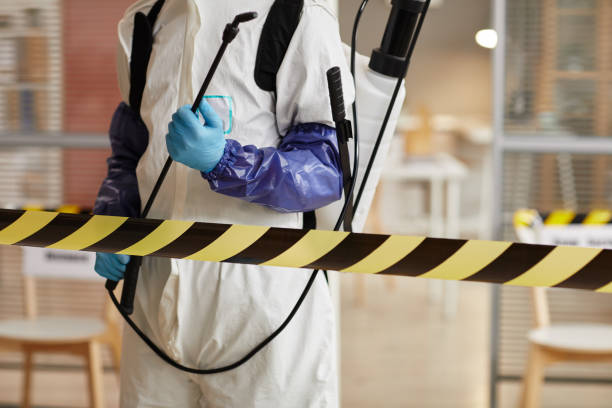 Professional Biohazard Cleanup technician working in Willow City, TX